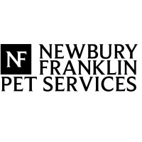 POWER FOR THE PUPS: THREE PET RESORTS ARE OPEN AND AVAILABLE TO BOARD DOGS WHOSE OWNERS ARE WITHOUT POWER